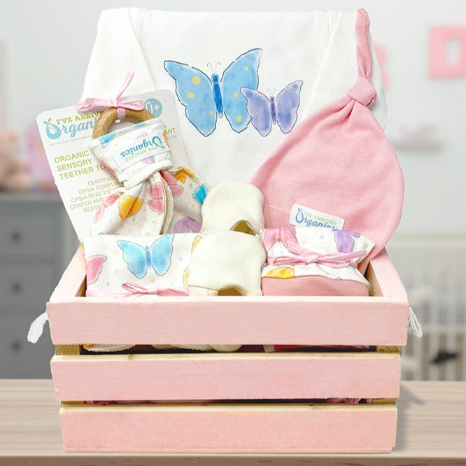 Baby Girl Mini Gift shops Bundle, Baby Shower Gift, personalized newborn baby box, Swaddle Gift Set, Baby Announcement, Birth Stats, Butterflies